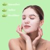 zhnnt 10 PCS Aloe Vera Soothing Sheet Mask，Refreshing and Moisturizing,Facial Sheet Mask for Dry,Oily, Sensitive Skin（25ml/0.88oz）