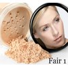 15 pc STARTER KIT w/BRUSHES & CASE (FAIR 1) Mineral Makeup Foundation Blush Bronzer Illuminating Veil Set Bare Skin Matte Powder