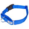 GOGO Pet Products 3/8-Inch Martingale Dog Collar, X-Small, Blue