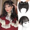 KooKaStyle Bangs Hair Clip in Bangs, 100% Real Human Hair Wispy Bangs Clip in Hair Extensions, 3 Secure Clips in Full Fringe French Bangs Fake Bangs (1B# Black)