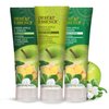 Desert Essence Green Apple & Ginger Body Wash - 8 Fl Ounce - Refreshing - Vitamins A, B & C - Scented - Cleanses & Revitalizes - Yucca Cactus - No Parabens