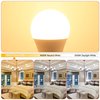 comzler A15 LED Bulbs 60W Equivalent, Warm White 2700K,E12 Small Base LED Round Light Bulb for Ceiling Fan, No Dimmable，6 Pack