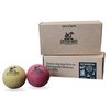 Fetch Boy The O.G. of Bounce Solid Sponge Rubber Dog Ball, Made in USA, 2.5 inches, Medium Breeds That Fetch, 2 Pack Gift Box