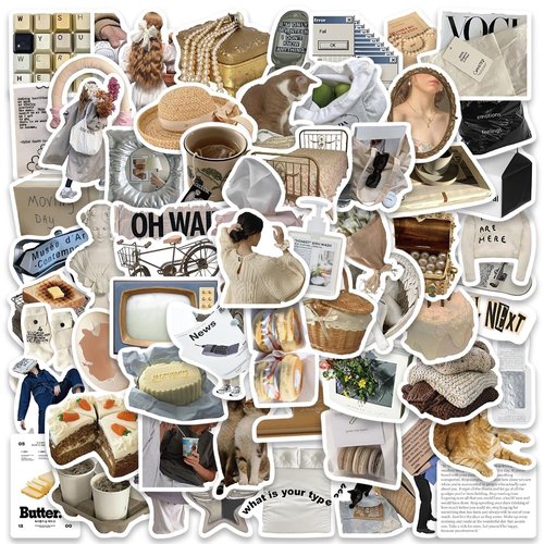 INS Aesthetic Stickers for Water Bottle, Waterproof Scrapbook INS Stickers, 63PCS Vinyl Stickers for Laptop Phone Skateboard Bumper Decals, Personalized Stickers Pack for Kids Teens Girls (INS)