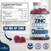 Zinc Gummies - 2 Pack - 50mg High Immune Booster Zinc Supplement, Immune Defense, Powerful Natural Antioxidant, Non-GMO - by New Age, 120 Count