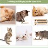 RELONGGI 3 PCS Natural Silvervine Sticks Cat Toy, Catnip Dental Toy for Kitten Teeth Cleaning, Cat Dental Toy,Cat & Kitten Chew Toys for Aggressive Chewer, Easy to Carry Silver Vine Sticks