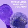 Sulfate Free Brass Toning Purple Shampoo Bar for Blonde, Bleached, Silver, or Brown Highlighted Hair, Travel Friendly, with Tin Container +Sponge