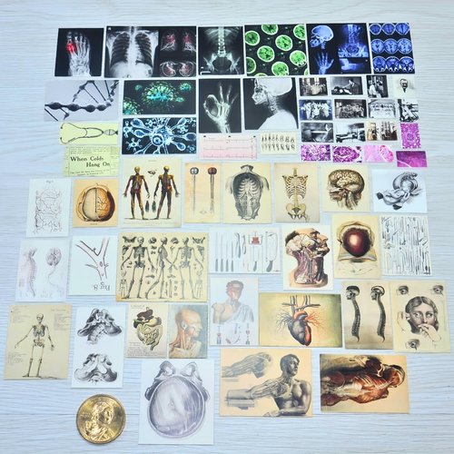 EKKZ 57 Pcs 1/6 Scale Miniature Vintage Medical Posters - Realistic Mini Things Anatomy Charts (X-Ray, Surgery, Microscope) for 11.5-Inch Fashion Dolls - Dollhouse Accessories for Decor and Play