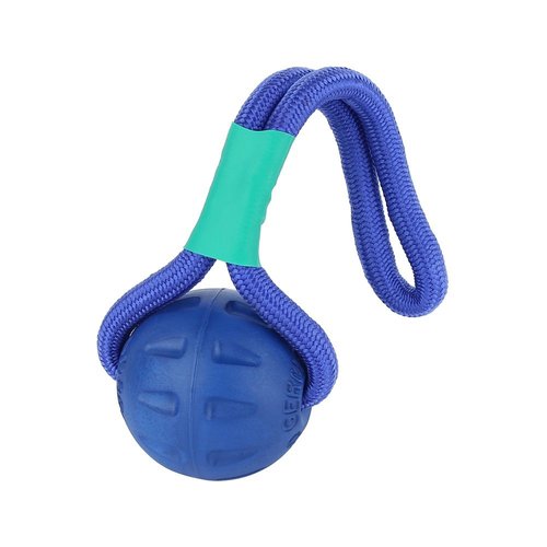 Dog Toy Ball Durable Rope Dog Chew Interactive Training Toy (Blue)