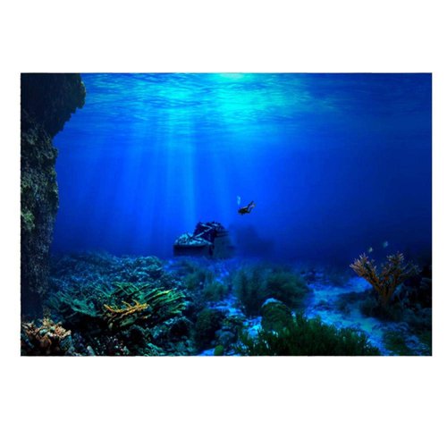GLOGLOW Aquarium Poster, 3D Effect Underwater Background Sticker Thicken PVC Adhesive Static Cling Backdrop Fish Tank Decorative Paper(61×41cm)