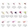 BASSDASH Trout Steelhead Salmon Fishing Flies Barbed Barbless Fly Hooks Include Dry Wet Flies Nymphs Streamers Eggs, Fly Lure Kit with Fly Box (57pcs Barbed Steelhead/Salmon/Trout Flies)