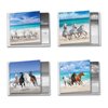 The Best Card Company - 12 Beautiful Blank Note Cards Bulk (4 x 5.12 Inch) (4 Designs, 3 Each) - Gallops and Greetings MQ5074OCB-B3x4