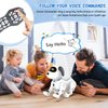 HBUDS Robot Dog Toys for Kids, Remote Control Stunt Programmable Robot Puppy Toy Dog Interactive with Commands Sing, Dance, Bark, Walk Electronic Pet Dog for Boys Girls Gifts