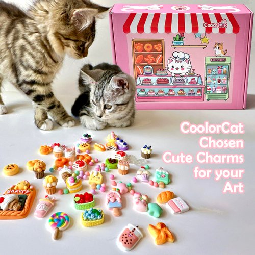 COOLORCAT Paint Pre-Drawn Canvas Cute Decoden 60+ Charms Craft Kit, 24 Acrylic Markers DlY Art Supplies Arts and Crafts for Kids Ages 6-12 Toys Girls Boys Birthday Gift (Kitty Bakery)