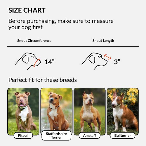 CollarDirect Pitbull Dog Muzzle Leather Amstaff Muzzles Staffordshire Terrier Secure Basket (Black)