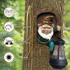 Fairy Garden Statues Gnomes Solar Lantern - Whimsical Elf Out The Door Tree Hugger Figurines Fence Wall Yard Art Home Decor Outdoor Tree Face Sculpture, Ideal Thanksgiving Decorations