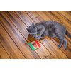 Mad Cat Purrfect Pizza Hide-A-Toy, Catnip + silvervine cat Toy, 2 Toys in 1, for Cats of All Ages