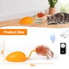 BABORUI Upgraded Cat Interactive Toy, Remote Control Mouse Toy, Automatic Cat Mouse Toys with Feathers, Moving Smart Cat Toy Car for Indoor Cats, USB Rechargeable