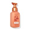 Bath and Body Works Sweet Apple Gentle Foaming Hand Soap 8.75 Ounce 1-Pack (Sweet Apple)