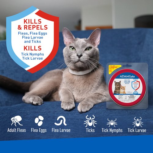 Adams Plus Flea & Tick Collar for Cats | Breakaway Collar | 2pk | 7 Months Protection | Kills & Repels Fleas, Flea Eggs, Flea Larvae and Kills Ticks, Nymphs, and Tick Larvae, White