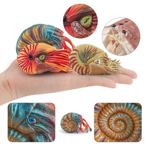 BRETOYIN Jumbo Sea Creatures Toys for Kids Set 8PCS Nautilus Toy Figure Crab Figurine Toys Model Educational Science Shark Toys Boy Birthday Gift