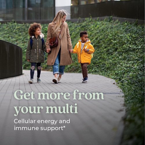 New Chapter Women’s Multivitamin Gummies - 66% Less Sugar, Women’s Gummy Vitamins with Vitamin C, D3 & Zinc, Non-GMO, Gluten Free, Berry-Citrus, 75ct