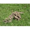 Tomcat Mole Killer, Mimics Natural Food Source, Poison Kills in a Single Feeding, 10 Worms For Rodents