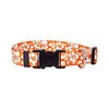Island Floral Orange Dog Collar - Size Cat 8" to 12" Long