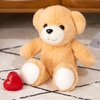 CozyWorld 12" Heartbeat Recordable Teddy Bear,Voice Recorder Plush Toy Stuffed Animal Soft Fuzzy Doll Gifts Messages Recording Playback for Kids Birthday Children's Day