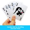 AQUARIUS - Looney Tunes- Take Over Playing Cards