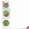 The Best Card Company - 10 Blank Note Cards with Envelopes (4 x 5.12 Inch) - Bulk All Occasion Cards Boxed - Shiplap Succulents AM6438OCB-B1x10
