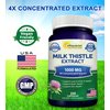 aSquared Nutrition Milk Thistle Supplement 1000mg-200 Capsules,Max Strength 4X Concentrated Extract 4:1 Milk Thistle Seed Powder Herb Pills, 1000 mg Silymarin Extract for Liver Support, Cleanse, Detox