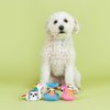 Fringe Studio "JUST Keep Floating, Set of 3, Small Plush Dog Toy Set, Pet Shop Collection (662135)