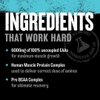 Animal Nitro EAA - Post-Workout Recovery and Repair, Supports Lean Muscle Growth, Complete Spectrum of Essential Amino Acids & BCAA Supplement for Men and Women, 44 Packs