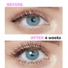 Stacy Lash Growth Serum (0.17fl.oz / 5ml) | Eyebrow & Eyelash Enhancing Serum for Natural Lashes & Brows | Lash Serum for Eyelash Growth and Thickness