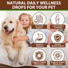Turkey Tail Mushroom for Dogs, Mushroom Blend, Turmeric & Probiotic for Immune, Digestive & Joint Support, Turkey Tail for Dogs, 60ml
