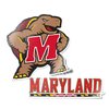 Desert Cactus University of Maryland Stickers Terrapins UMD Terps Vinyl Decal Laptop Water Bottle Car Scrapbook11.5x9 (4 Inch Set V1)