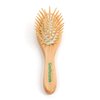 Small Hair Brush for Purse - Wooden Bristle Detangler Hairbrush For Detangling Women, Men & Kids Wet or Dry Hair - Natural Wood Handle & Bristles - Travel Size and Fits in Pocket or Purse