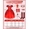 Ladybug Costume Lady Bug Costumes for Girls Halloween Costumes for Kids Toddler Costume Ladybug Dress Ladybird Dress Up for Birthday Christmas 5-6 Years