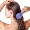 SHINLEA Detangler Brush for Curly Hair, Hair Brush for Wet or Dry Hair, Easily Brushes Through Curl Hair and Reduces Breakage, Pain-Free Brush Hair, Curly Hair Brush for Women Men Kid (Purple)