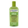 Hollywood Beauty Olive Oil ScalpTreatment, 8 oz (Pack of 5)