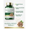 Carlyle Kudzu Root | 100 Extract Capsules | Non-GMO and Gluten Free Formula | Traditional Herbal Supplement