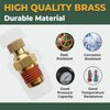 Air Compressor Tank Drain Cock, LIONMAX 1/4'' NPT Brass Tank Drain Valve Replacement Part, 2 PCS