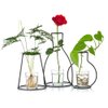 Nuptio Set of 3 Creative Desktop Planter Set with Glass Cup Vases Iron Metal Stand for Water Planting Flower Arrangement Decoration Gift for Home Wedding Centerpieces Décor (3 Pcs)…