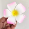 Hawaiian Leis Headband Wristbands Plumeria Hair Clips Tropical Luau Necklace Headpiece Bracelets Flower Barrettes Hair Bands Women Wedding Summer Beach Birthday Dress Up Party Decorations Supplies