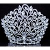 Janefashions Fancy Beauty Queen Crystal Rhinestone Tiara Crown With Hair Combs Wedding Bridal Beauty Contest Prom Pageant Silver T994