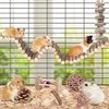 Hamster Toy Hamster Accessories Guinea Pig Chew Toy Hamster Suspension Bendy Long Bridge Toy Chinchilla Cage Accessories Willow Ball Play Set Stuff for Dwarf Syrian Chinchillas Gerbils Mice Mouse