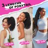 QGZ Curly Ponytail Extension,Drawstring Ponytail for Black Women 14 Inch Synthetic Short Wavy Curly Layered Pony Tails Hair Extensions for Daily Use(Reddish Brown)