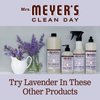 Mrs. Meyer's Clean Day Dryer Sheets (Lavender, 2 Pack, 160 Count)