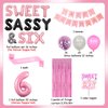 JOYMEMO Sweet Sassy and Six Birthday Decorations Girl, Pink Sweet Six Birthday Party Supplies with Donut Ice Cream 6th Birthday Cake Topper, Birthday Girl Sash, Happy Birthday Banner, Tinsel Curtain